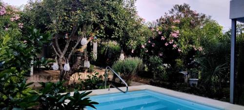 Real de San Carlos Apartment | Colonia