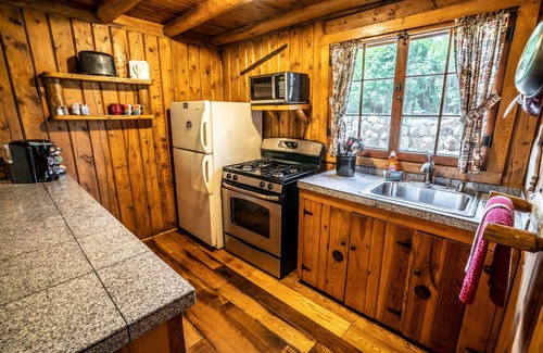 Evergreen Cabin | Colorado Bear Creek Cabin 3
