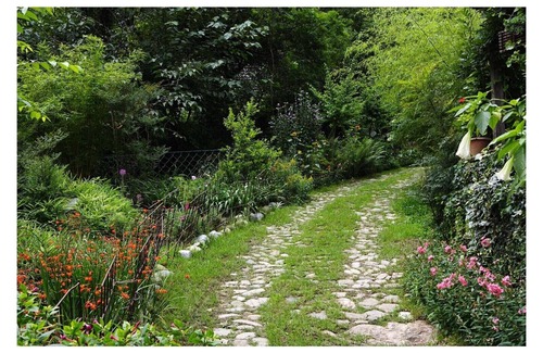 Shyamkhet Resort | Come experience what is reputed to be the best luxury retreat in the Himalayas!