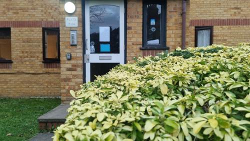Dudden Hill Apartment | Comfort at Enchanted Dwellings