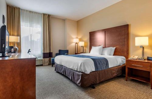 Apalachin Hotel | Comfort Inn Apalachin - Binghamton W Route 17