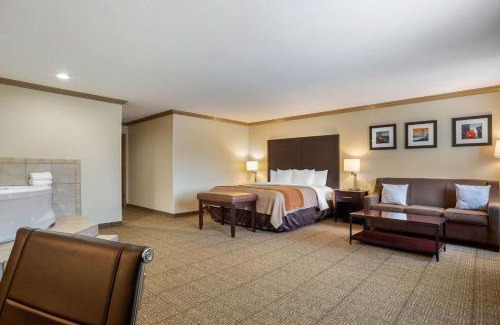 Castro Valley Hotel | Comfort Inn Castro Valley