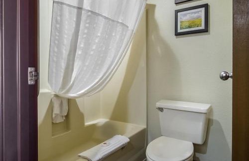 Lexington Hotel | Comfort Inn Lexington