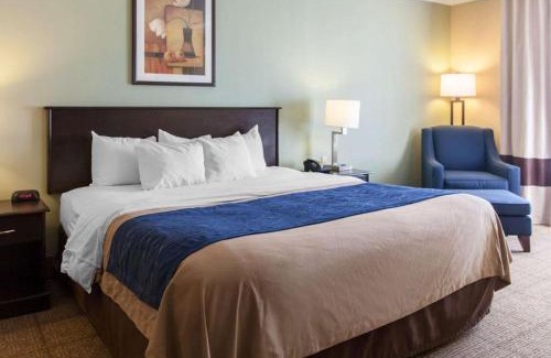 Dumfries Hotel | Comfort Inn Near Quantico Main Gate North