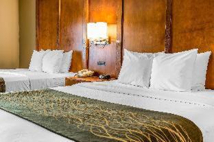 Romeoville Hotel | Comfort Inn Romeoville - Bolingbrook