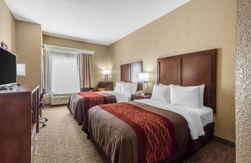 Tri-Cities Hotel | Comfort Inn South
