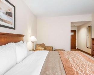 Atoka Hotel | Comfort Inn & Suites Atoka-Millington