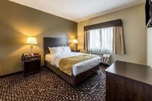 Barnesville Hotel | Comfort Inn & Suites Barnesville - Frackville