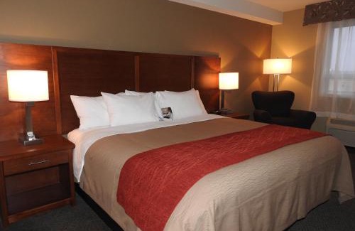 Langley Hotel | Comfort Inn & Suites