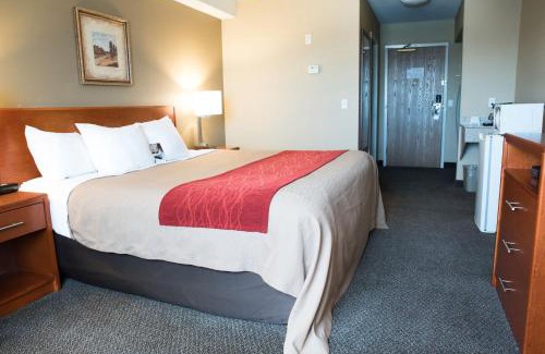 Langley Hotel | Comfort Inn & Suites
