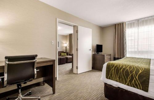 Red Deer Hotel | Comfort Inn & Suites