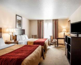 Creswell Hotel | Comfort Inn & Suites Creswell