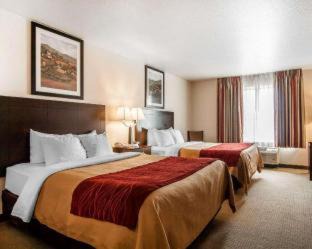 Creswell Hotel | Comfort Inn & Suites Creswell