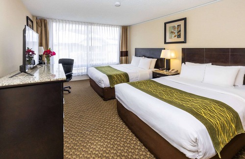 Downtown Edmonton Hotel | Comfort Inn & Suites Downtown Edmonton