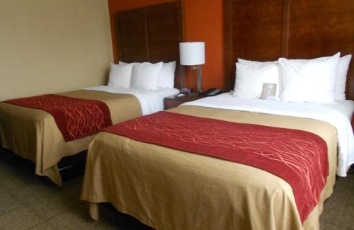 Lakeland Hotel | Comfort Inn & Suites Lakeland North I-4