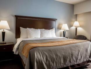 Lumberton Hotel | Comfort Inn & Suites Lumberton Central I-95