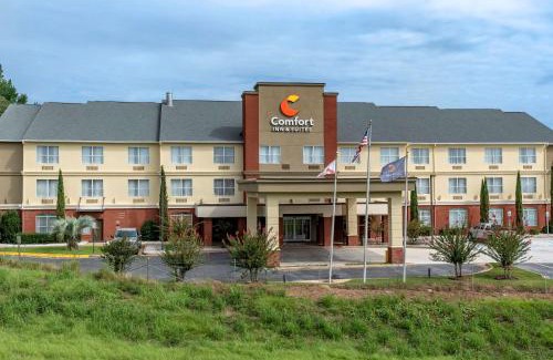 Millbrook Hotel | Comfort Inn & Suites Millbrook-Prattville