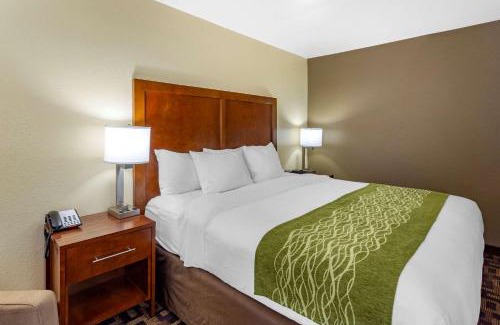 Aurora Hotel | Comfort Inn & Suites North Aurora - Naperville