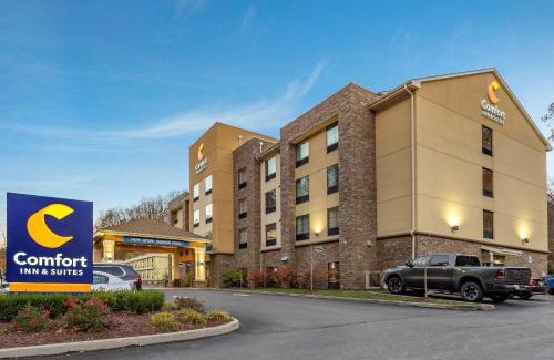 South Hills Hotel | Comfort Inn & Suites Pittsburgh South