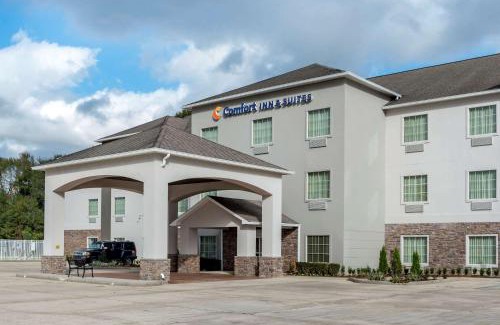 Scott Hotel | Comfort Inn & Suites Scott-West Lafayette