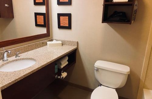 Sturbridge Hotel | Comfort Inn & Suites Sturbridge-Brimfield
