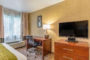 Florence Hotel | Comfort Inn & Suites Tuscumbia-Muscle Shoals