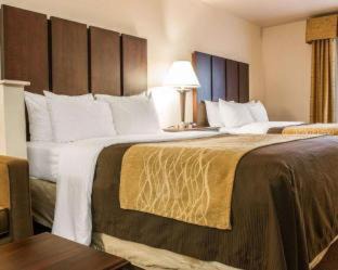 Fenton Hotel | Comfort Inn & Suites