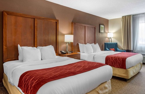 Greendale Hotel | Comfort Inn & Suites