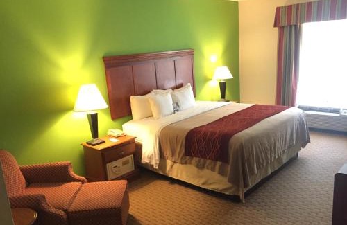 Rogersville Hotel | Comfort Inn & Suites