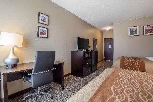 Lapoint Hotel | Comfort Inn & Suites Vernal - National Monument Area