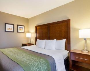 Garden City Hotel | Comfort Inn