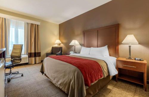 Warren Hotel | Comfort Inn Warren I-69