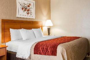 White River Junction Hotel | Comfort Inn White River Junction