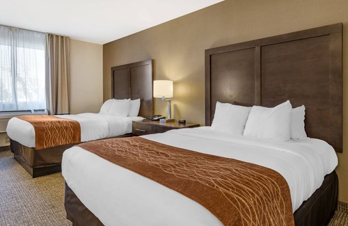 Williamsport Hotel | Comfort Inn Williamsport