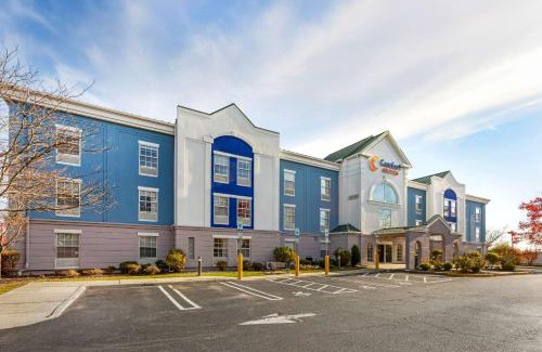 East Brunswick Hotel | Comfort Suites East Brunswick - South River