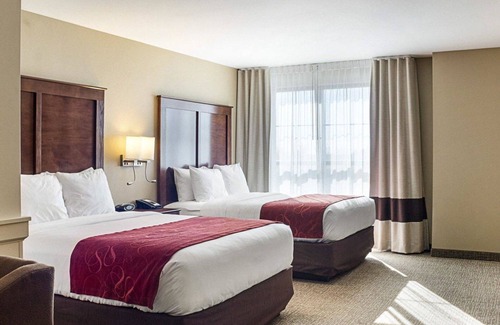 Fargo Hotel | Comfort Suites Fargo Medical Center