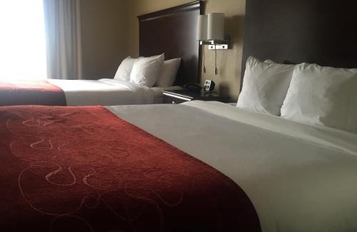 Marietta Hotel | Comfort Suites Marietta-Parkersburg