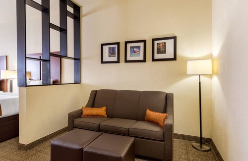 Webster Hotel | Comfort Suites near NASA - Clear Lake