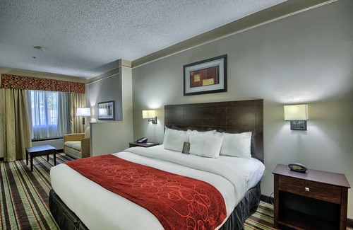 Mineralwells Hotel | Comfort Suites Parkersburg South