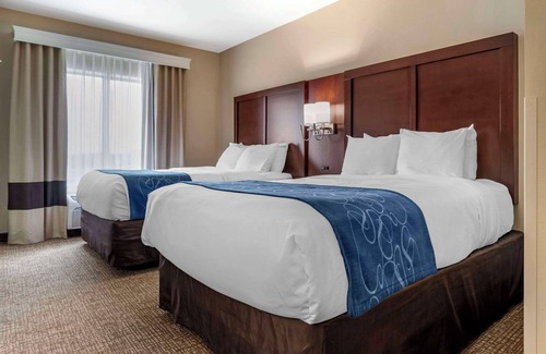 Pell City Hotel | Comfort Suites Pell City I-20 exit 158