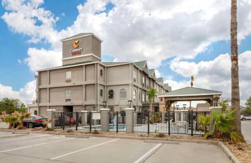 Shenandoah Hotel | Comfort Suites Shenandoah-The Woodlands