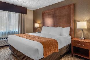 Terre Haute Hotel | Comfort Suites Terre Haute University Area