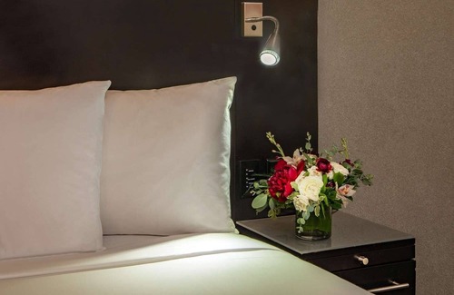 East Cambridge Hotel | Comfortable Cambridge Stay w/Spectacular Charles River Views
