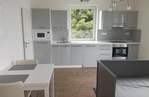 Hnevkovice House | Comfortable house for relax and sports