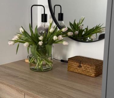 Jelgava Apartment | Comfy Center Apartment