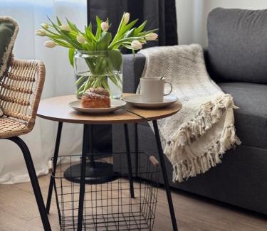 Jelgava Apartment | Comfy Center Apartment