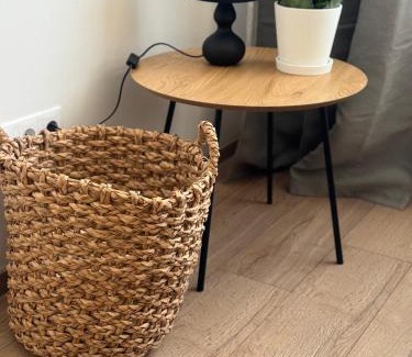Grizinkalns Apartment | Comfy Central Apartment in Riga