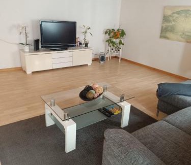 St. Gallen Apartment | Como apartamento en el centro de st Gallen
