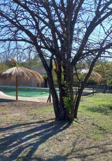 Rio Ceballos Cabin | Complejo Megevand