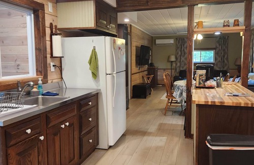 Manistee Cabin | Completely remodeled cabin on 18 acres - across from Little Manistee River!